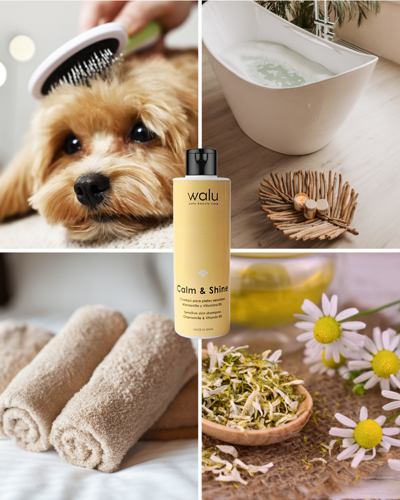Champú calmante para mascotas con piel sensible