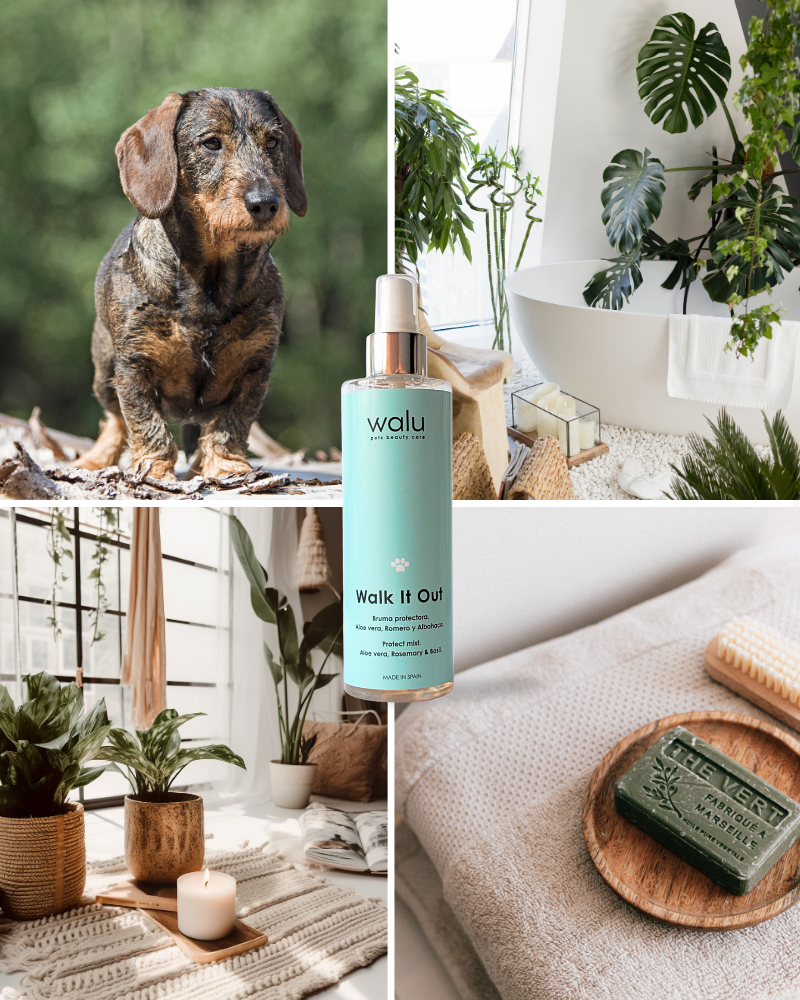 Bruma protectora de uso diario