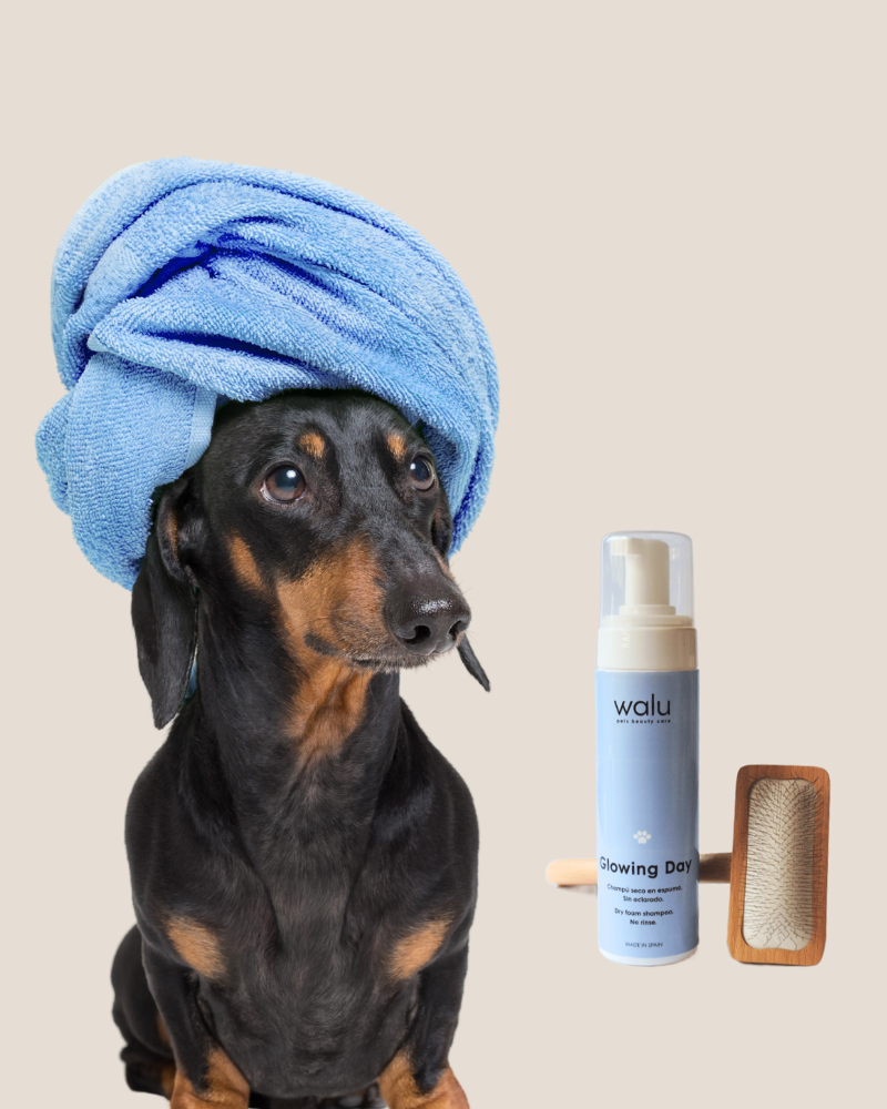 cuidado pelo de mascotas naturales 