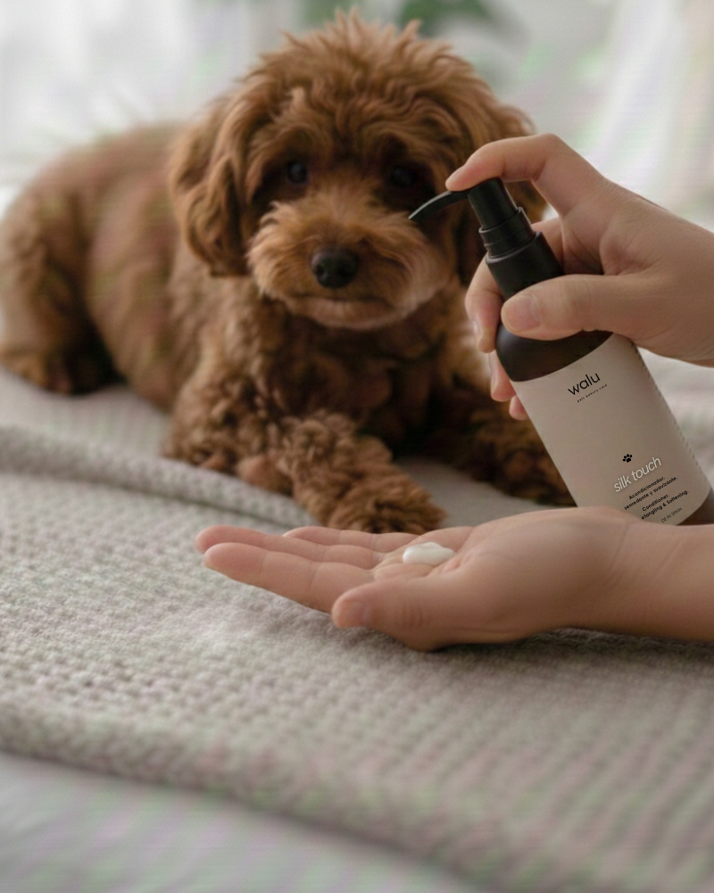 cuidado del pelo de perros