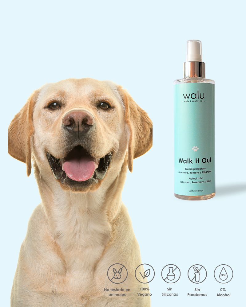 skincare perros