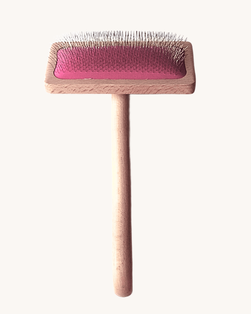 peine perro  ecologico