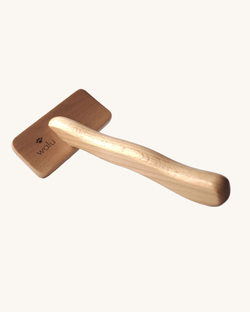 carda perro ecologico