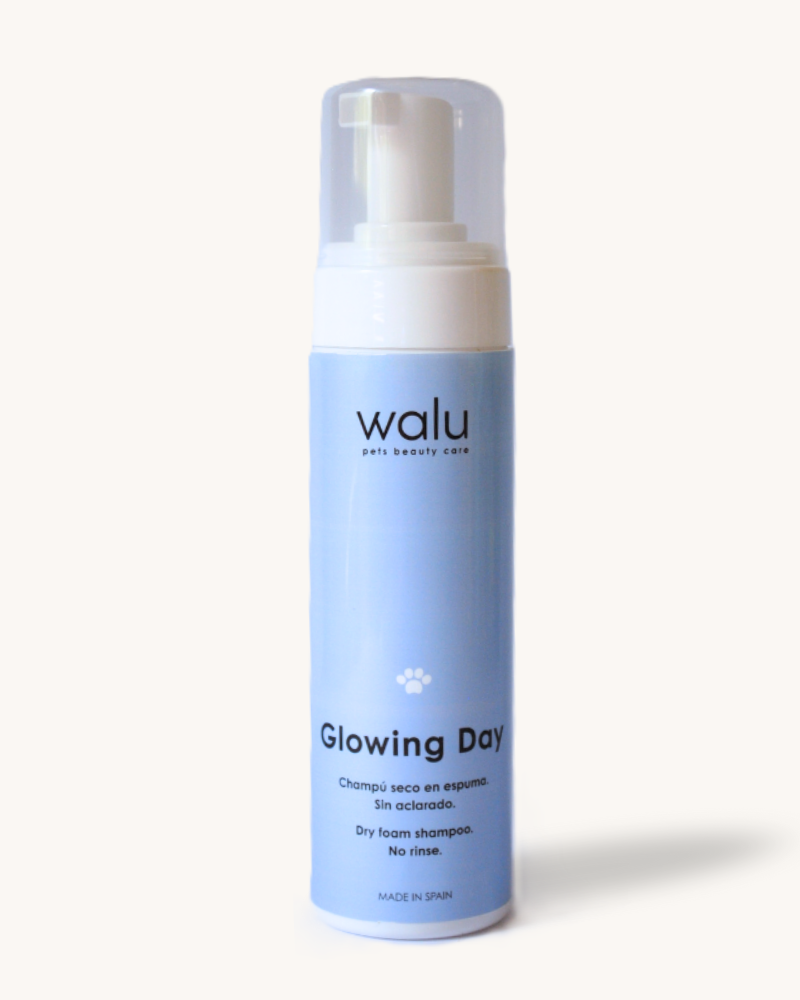 cuidado higiene de perros