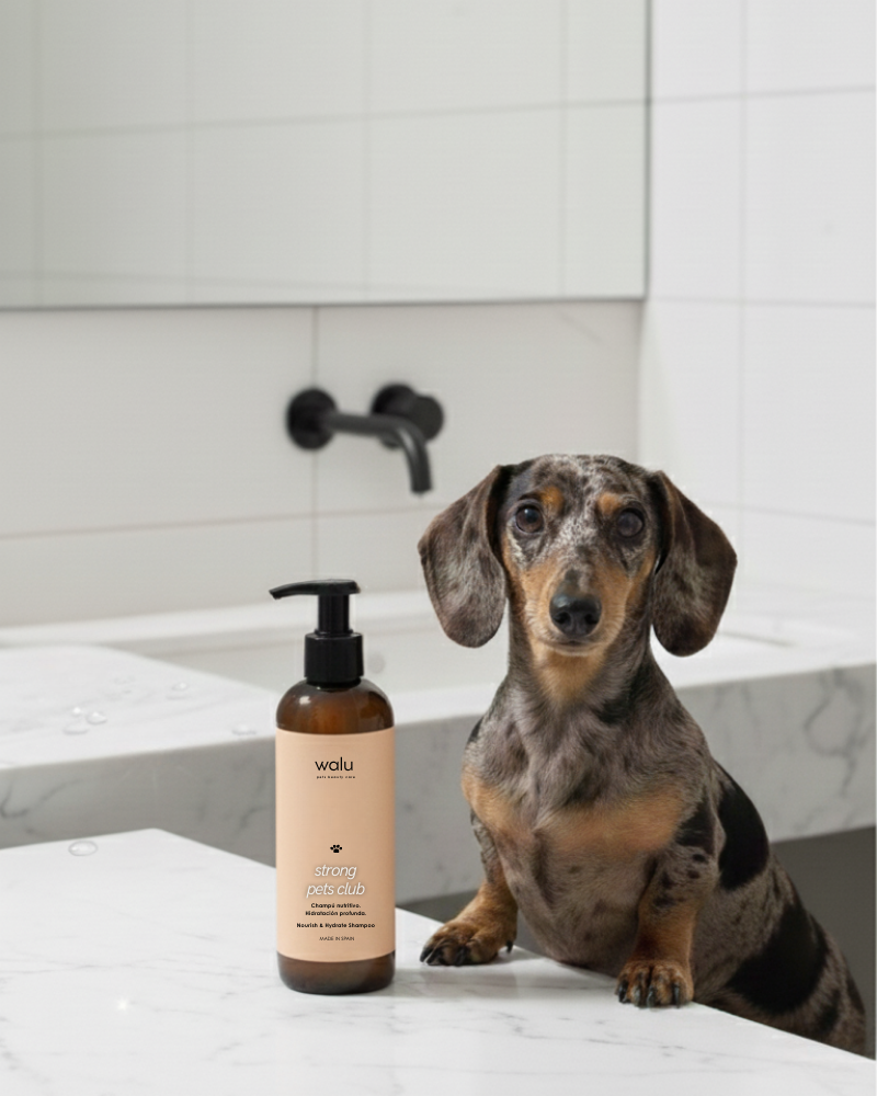 champu vegano perros