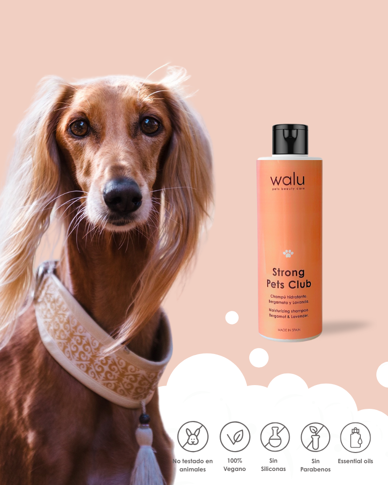 champu hidratante perro