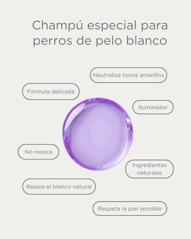 champu purpura para pelo blanco perros