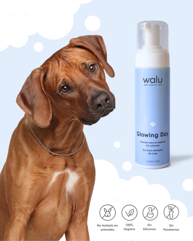 champu sin aclarado mascotas