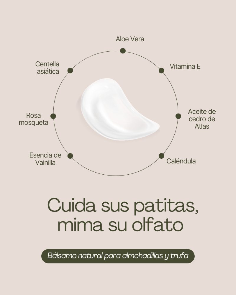 crema para grietas de patas perros 