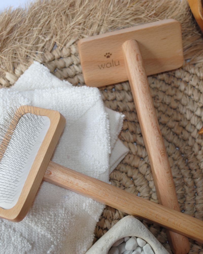 peine perro natural ecologico