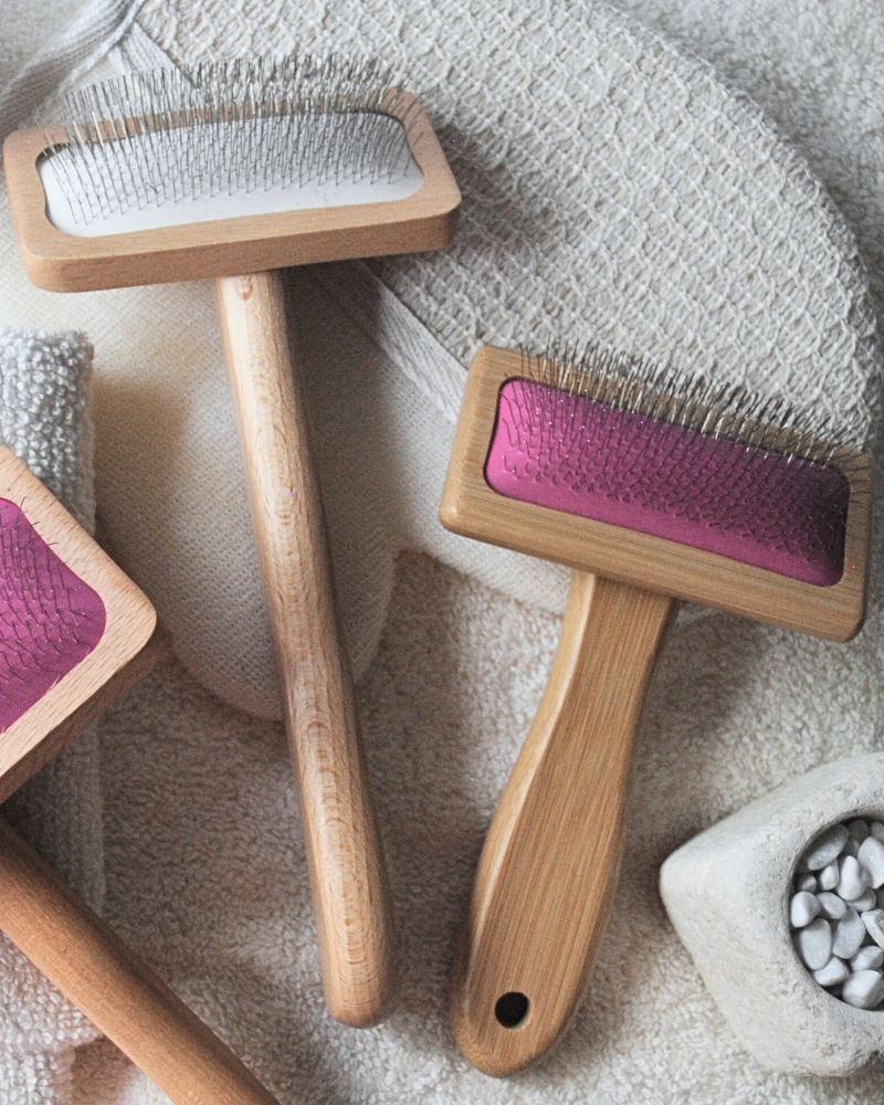 cepillos carda mascotas