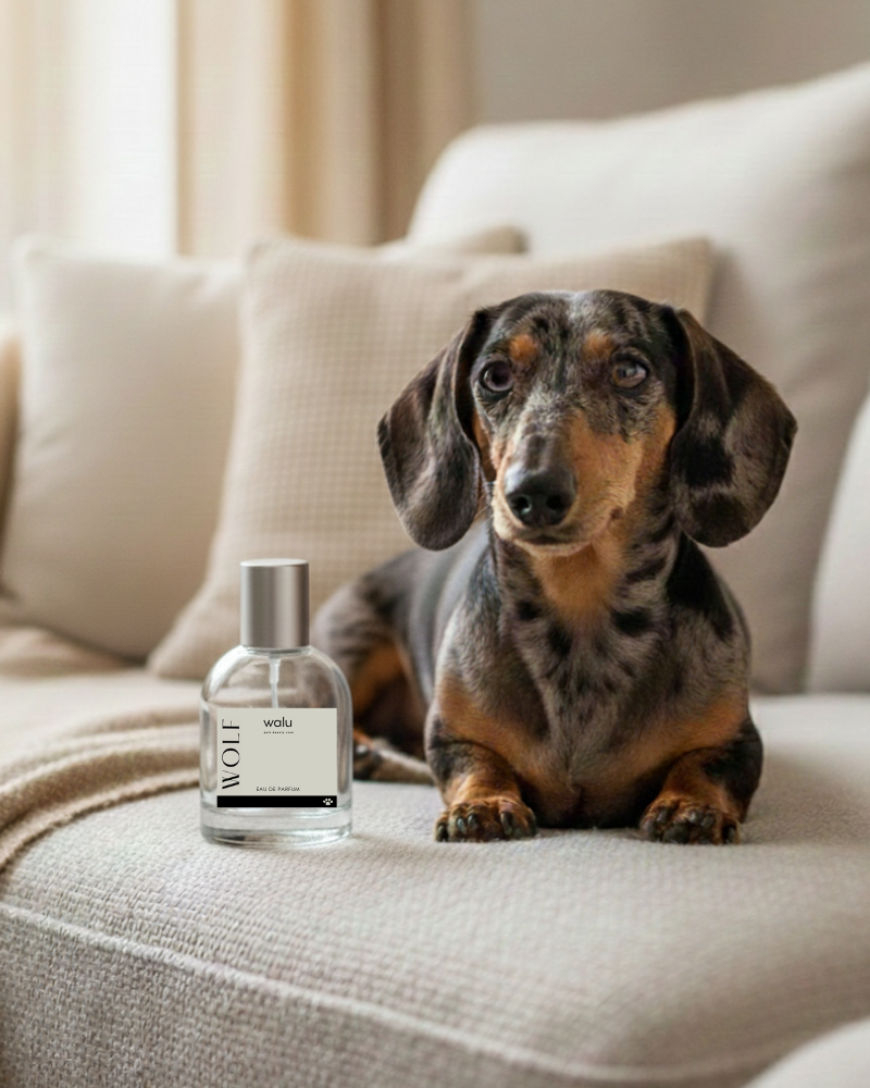 perfume organico vegano perros