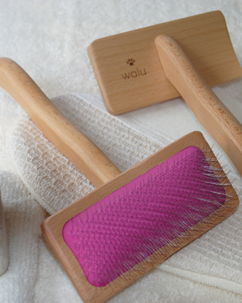 cepillo natutral mascotas